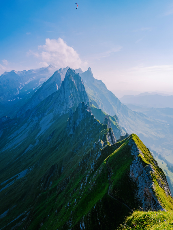Image - iStock-1336822434.jpg