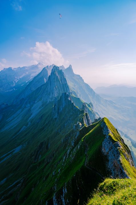 Image - iStock-1336822434_.jpg