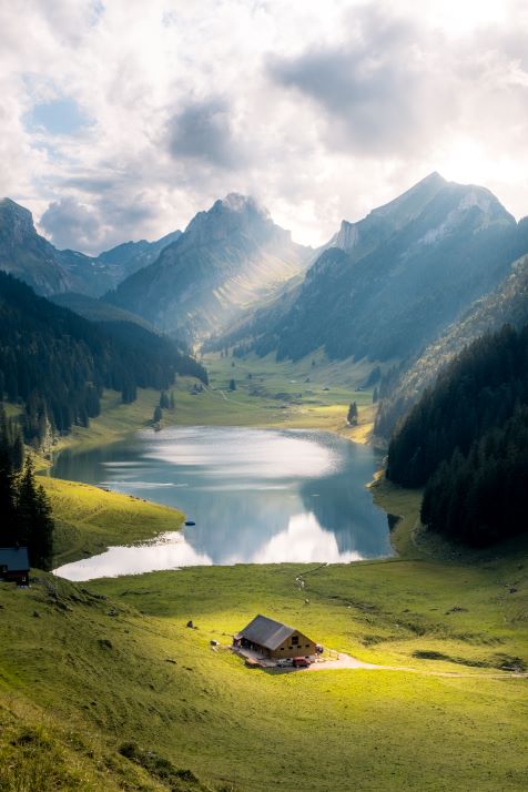 Image - iStock-1354402229_.jpg